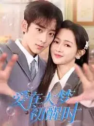 爱在大梦初醒时 海报