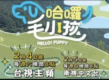 《哈啰！毛小孩》：萌宠助攻爱情，爆笑又治愈的宠物情缘，你准备好被融化了吗？