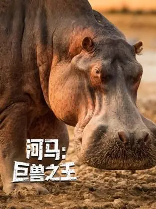 《河马：巨兽之王》影评：一场史诗级的自然生存挑战，震撼你的视觉神经！