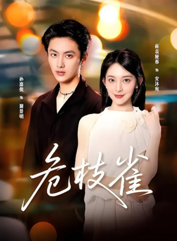 《危枝雀》：一部让你笑着流泪的黑色喜剧，小人物的挣扎与希望！